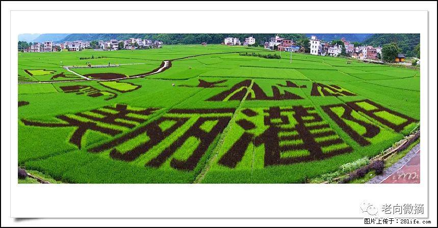 【春天,广西桂林灌阳县向您发出邀请!】开篇 - 游山玩水 - 临沂生活社区 - 临沂28生活网 linyi.28life.com