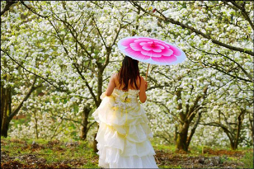 【春天，广西桂林灌阳县向您发出邀请！】我们在灌阳看梨花 - 游山玩水 - 临沂生活社区 - 临沂28生活网 linyi.28life.com