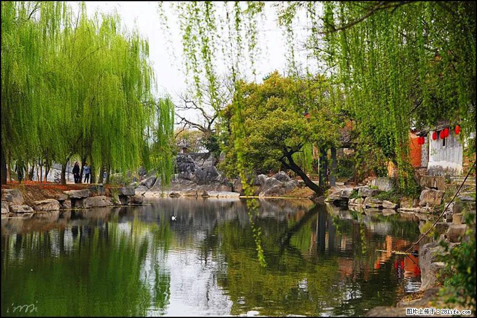 【春天,广西桂林灌阳县向您发出邀请!】江口老街又逢春 - 游山玩水 - 临沂生活社区 - 临沂28生活网 linyi.28life.com