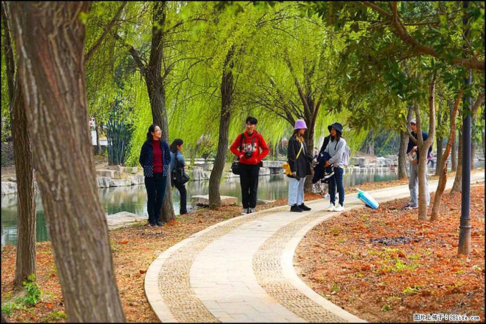 【春天,广西桂林灌阳县向您发出邀请!】江口老街又逢春 - 游山玩水 - 临沂生活社区 - 临沂28生活网 linyi.28life.com