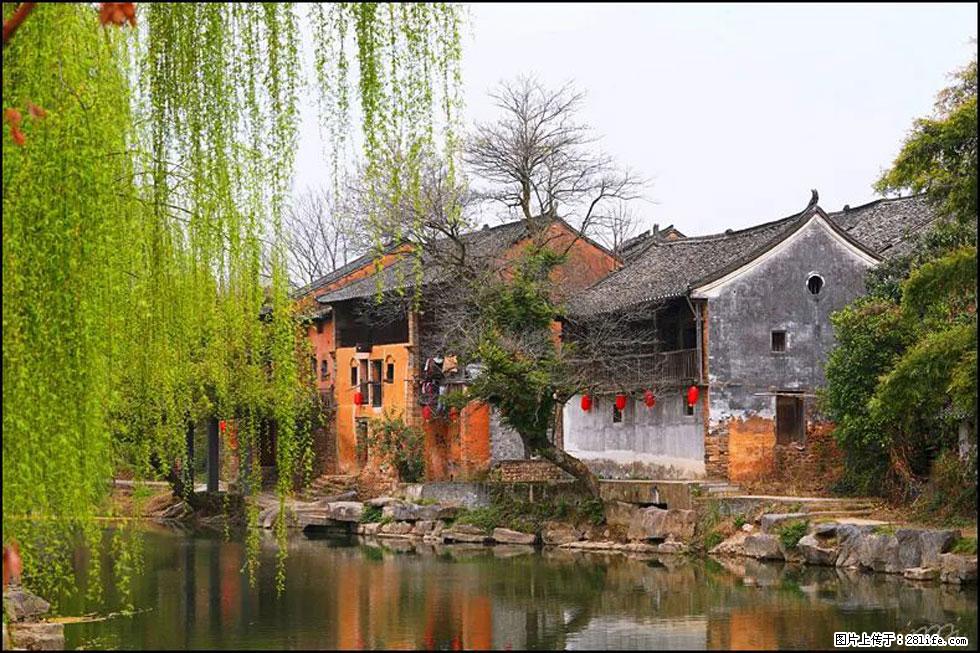 【春天,广西桂林灌阳县向您发出邀请!】江口老街又逢春 - 游山玩水 - 临沂生活社区 - 临沂28生活网 linyi.28life.com