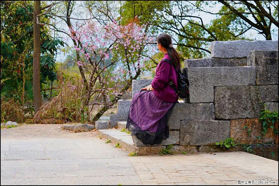 【春天,广西桂林灌阳县向您发出邀请!】江口老街又逢春 - 游山玩水 - 临沂生活社区 - 临沂28生活网 linyi.28life.com