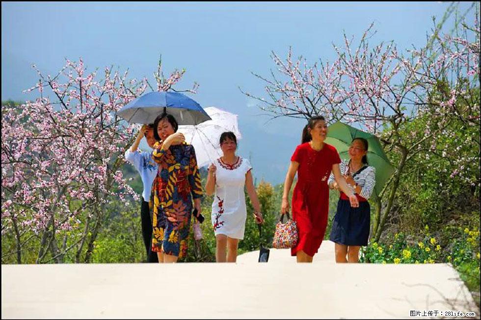 【春天,广西桂林灌阳县向您发出邀请!】望月岭上桃花开 - 游山玩水 - 临沂生活社区 - 临沂28生活网 linyi.28life.com