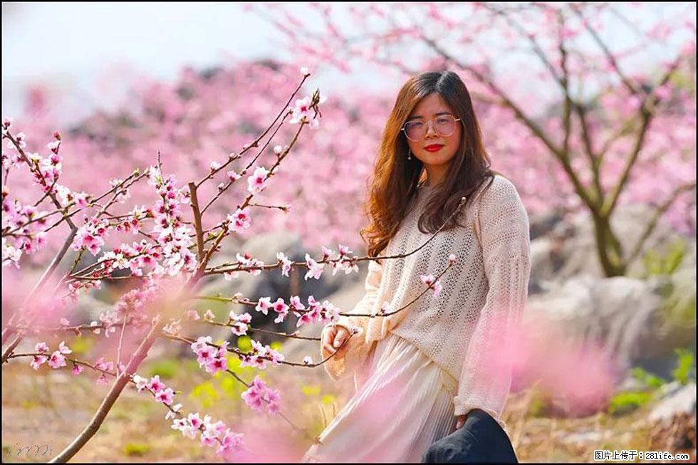 【春天,广西桂林灌阳县向您发出邀请!】望月岭上桃花开 - 游山玩水 - 临沂生活社区 - 临沂28生活网 linyi.28life.com
