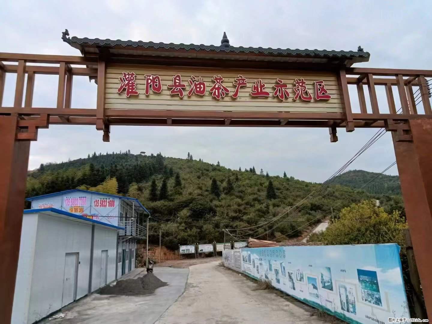 【灌阳县油茶产业示范区】一个有着充实的精神生活的人，对待身外之物自会有一种淡泊的态度 - 土特产 - 饮食特产 - 临沂分类信息 - 临沂28生活网 linyi.28life.com