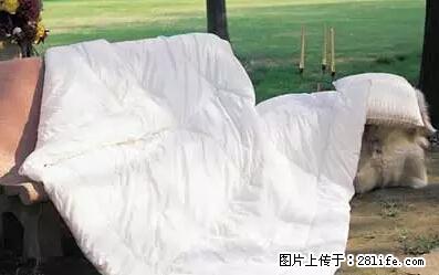被子有异味？只要这样做，比晒太阳还强100倍！ - 家居生活 - 临沂生活社区 - 临沂28生活网 linyi.28life.com