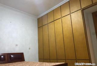 电视台家属院带一个院子整租 - 临沂28生活网 linyi.28life.com