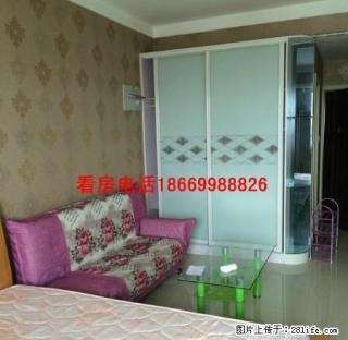 灬银座中心和谐广场精装一室全齐紧邻中央花园豪森丽都万阅城 - 临沂28生活网 linyi.28life.com