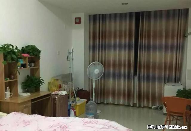 急租金猴精装一室单身公寓齐全拎包入住 南向1000/月速抢! - 房屋出租 - 房屋租售 - 临沂分类信息 - 临沂28生活网 linyi.28life.com