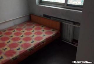 紧邻三小 十六中 拎包入住 绿化好干净卫生 - 临沂28生活网 linyi.28life.com