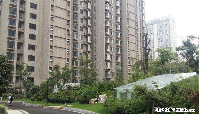 (单间出租)金猴北城名居 700每月包水电燃气费 男女不限 - 房屋出租 - 房屋租售 - 临沂分类信息 - 临沂28生活网 linyi.28life.com