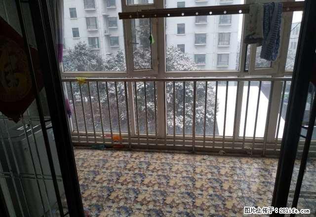 (单间出租)河畔花园精装修豪华民居房 , 押一付三随时可看房 拎包入住 - 房屋出租 - 房屋租售 - 临沂分类信息 - 临沂28生活网 linyi.28life.com