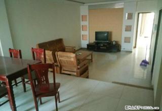 (单间出租)金鹰花园精装修豪华民居房 月付 押一付一随时可看房 拎包入住 - 临沂28生活网 linyi.28life.com