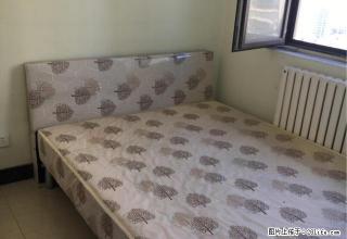 (单间出租)北园路与东岳庙街交叉口往北 蓝湾国际次卧出租 - 临沂28生活网 linyi.28life.com