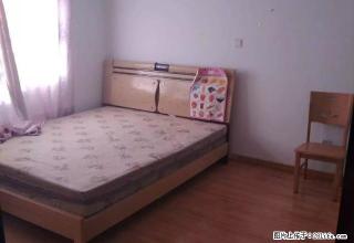 曲沂社区东方购物广场西侧曲沂精装修三室抢手房源 仅租三天 - 临沂28生活网 linyi.28life.com