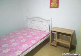 (单间出租)金鹰花园精装修豪华民居房 月付押一付一随时可看房 拎包入住 - 临沂28生活网 linyi.28life.com