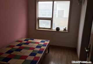 (单间出租)金鹰花园精装修豪华民居房 月付押一付一随时可看房 拎包入住！ - 临沂28生活网 linyi.28life.com