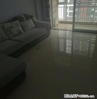 北城新区 全北城新区 金信融城 3室 - 临沂28生活网 linyi.28life.com