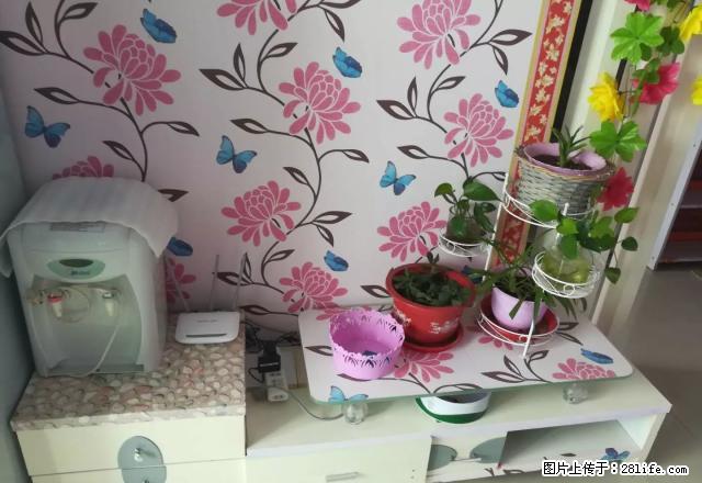 温馨客卧分离，阳光高第，精装修，全套家具，近盛世华庭四季春天 - 房屋出租 - 房屋租售 - 临沂分类信息 - 临沂28生活网 linyi.28life.com