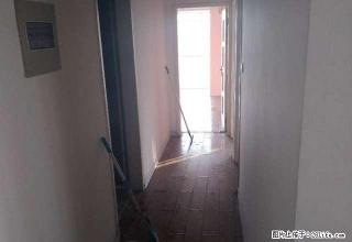 (单间出租)兴大小区精装修豪华民居房 月付押一付三随时可看房 拎包入住 - 临沂28生活网 linyi.28life.com