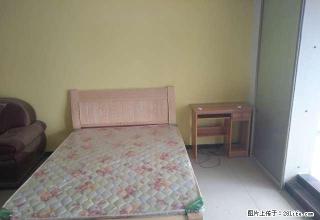 (单间出租)(单间出租)金鹰花园精装修带电梯 ， 押一付三随时可看房 - 临沂28生活网 linyi.28life.com