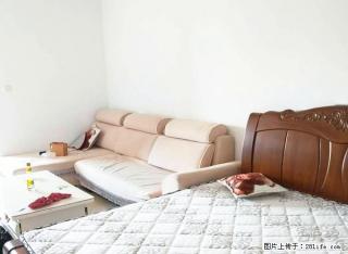 阳光充足无遮挡，暖暖的很温馨！红国际舒适一室拎包入住！ - 临沂28生活网 linyi.28life.com