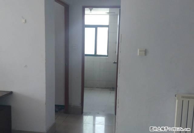 环球国际 精装一室 金猴颐高附近 - 房屋出租 - 房屋租售 - 临沂分类信息 - 临沂28生活网 linyi.28life.com