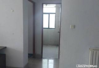 环球国际 精装一室 金猴颐高附近 - 临沂28生活网 linyi.28life.com