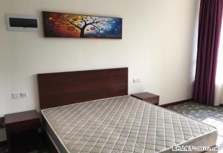 出租五路高架旁 全新酒店公寓 精装拎包入住 - 临沂28生活网 linyi.28life.com