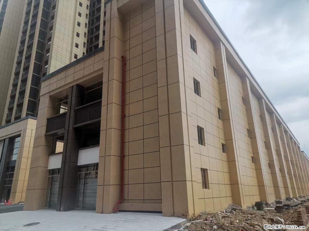 【广西三象建筑安装工程有限公司】外墙涂料工程 - 新手上路 - 临沂生活社区 - 临沂28生活网 linyi.28life.com