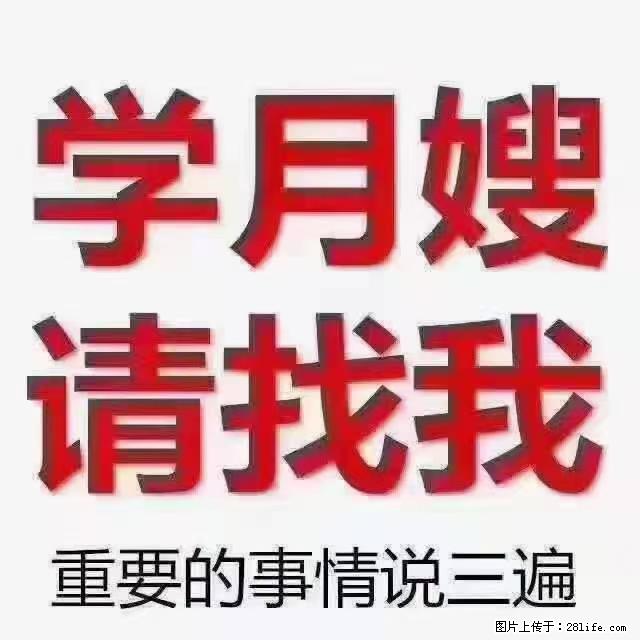 【招聘】月嫂，上海徐汇区 - 职场交流 - 临沂生活社区 - 临沂28生活网 linyi.28life.com