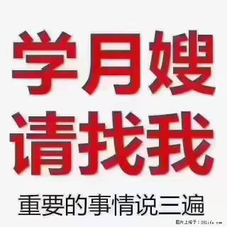 【招聘】月嫂，上海徐汇区 - 临沂28生活网 linyi.28life.com