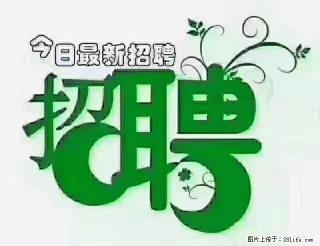 上海青浦区招仓管 - 临沂28生活网 linyi.28life.com