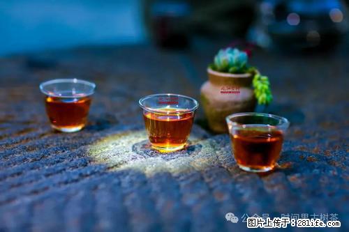 时间果百年古树2025年春红茶 - 购物交流 - 临沂生活社区 - 临沂28生活网 linyi.28life.com