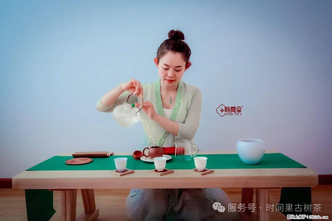 时间果百年古树龙珠普洱生茶 - 购物交流 - 临沂生活社区 - 临沂28生活网 linyi.28life.com