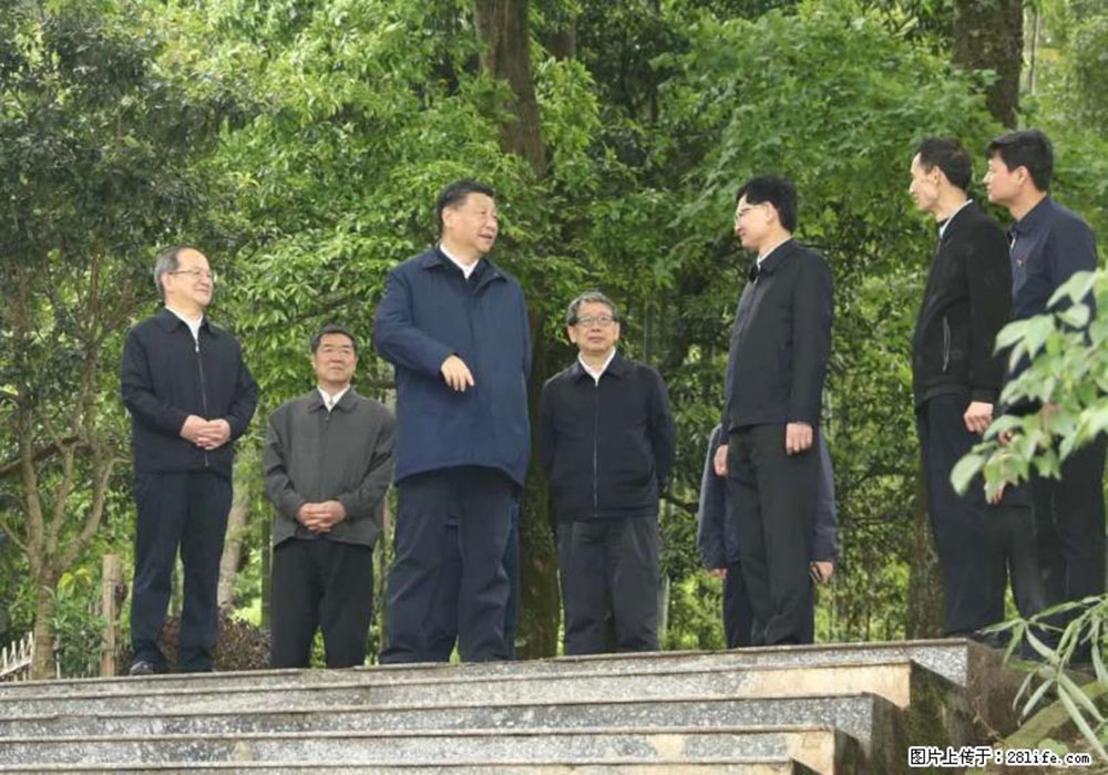 习近平赴广西考察调研 - 临沂生活资讯 - 临沂28生活网 linyi.28life.com