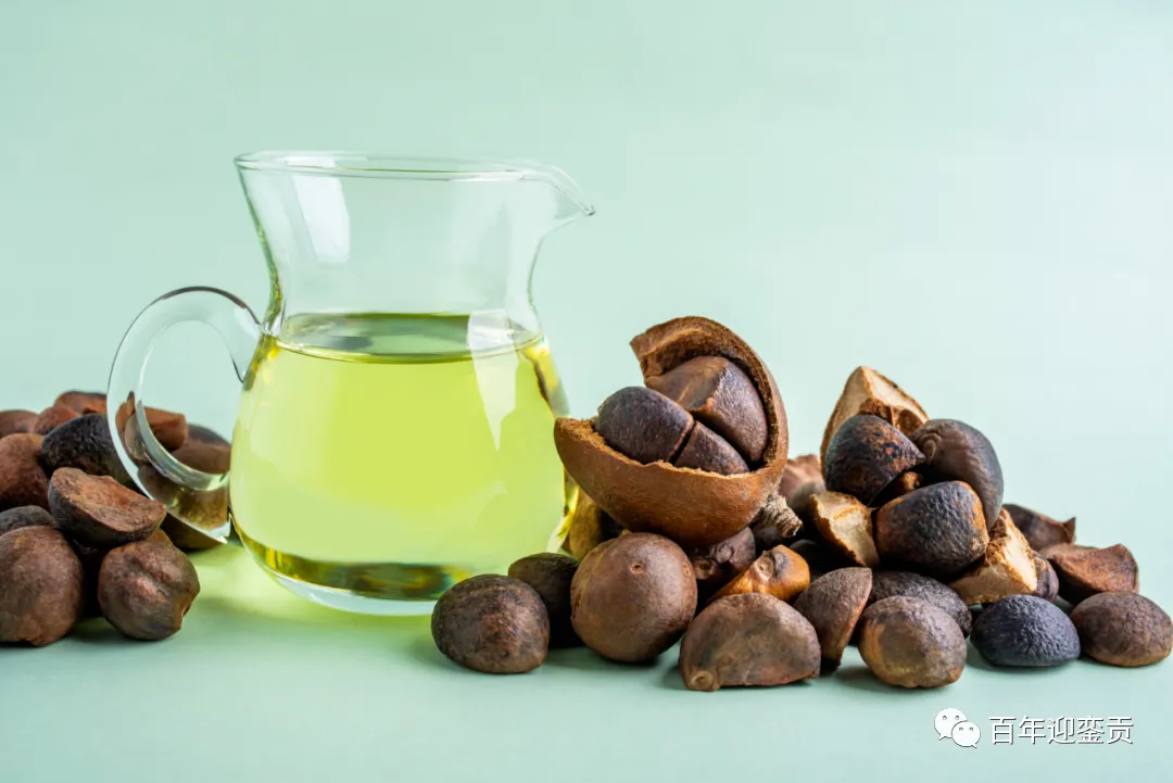 世界没有真相,只有认知,最好的食用油是中国的山茶油! - 临沂生活资讯 - 临沂28生活网 linyi.28life.com