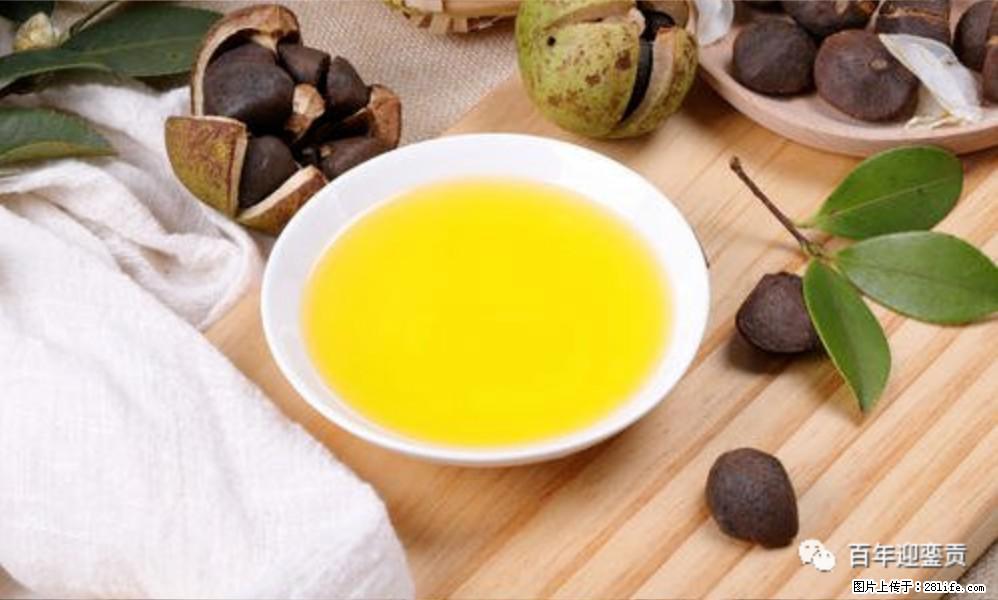 世界没有真相,只有认知,最好的食用油是中国的山茶油! - 临沂生活资讯 - 临沂28生活网 linyi.28life.com