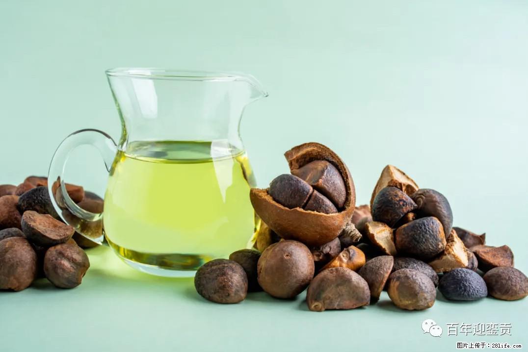 世界没有真相,只有认知,最好的食用油是中国的山茶油! - 临沂生活资讯 - 临沂28生活网 linyi.28life.com