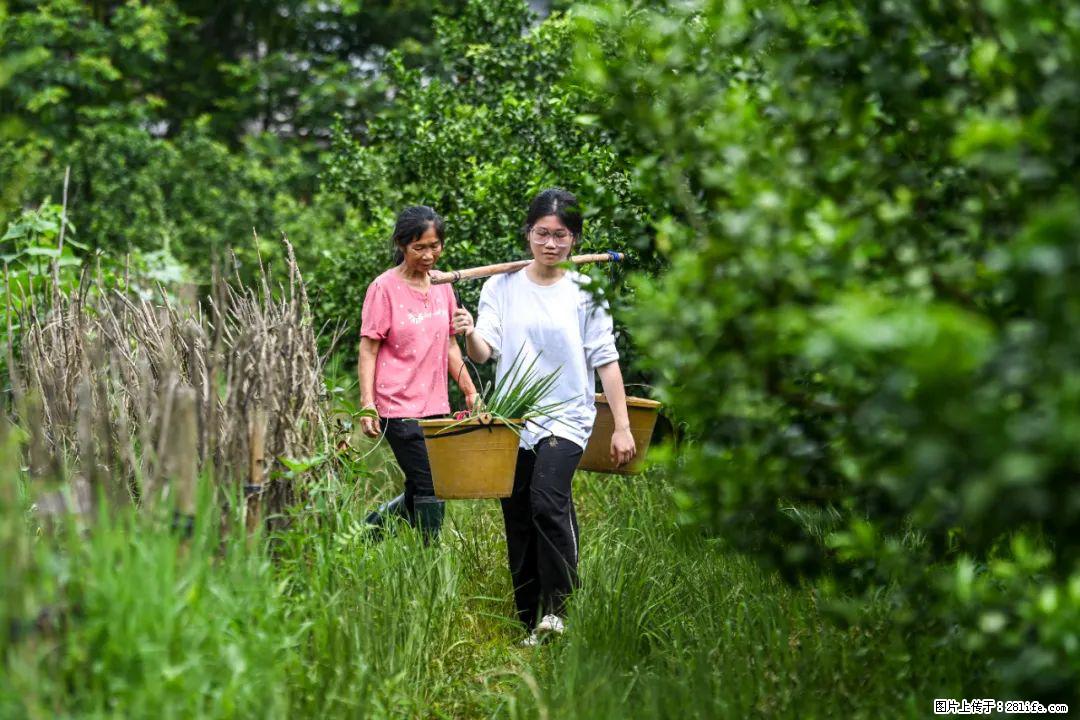 全网追的“扁担女孩”,找了一份暑假工,时薪12元 - 临沂生活资讯 - 临沂28生活网 linyi.28life.com