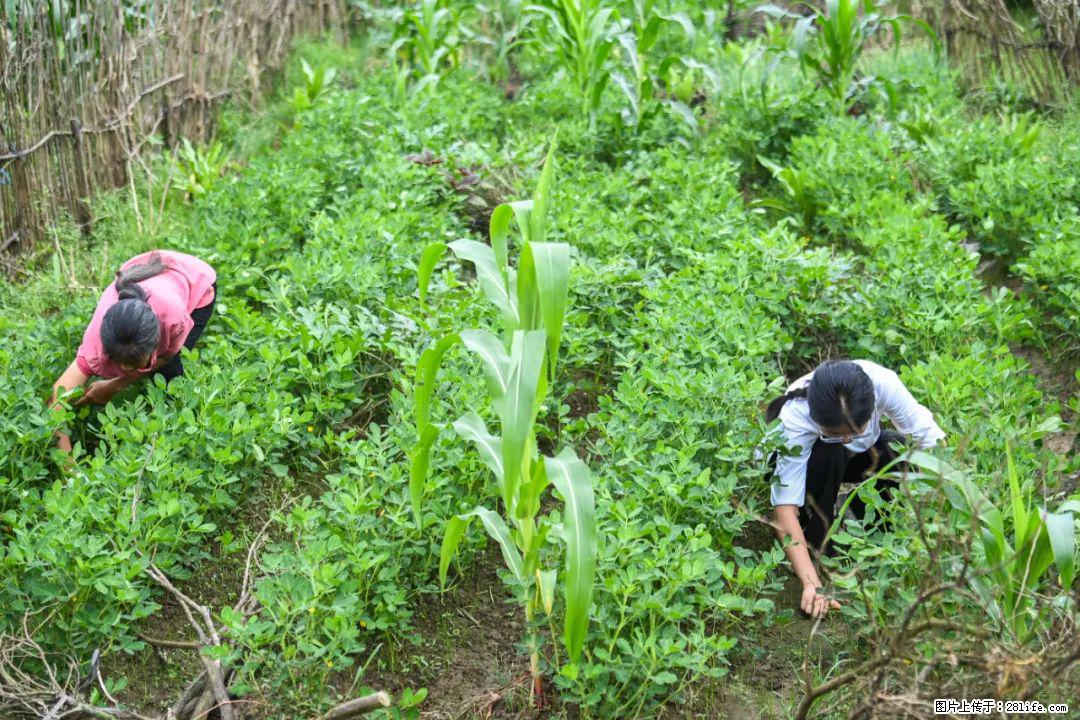 全网追的“扁担女孩”,找了一份暑假工,时薪12元 - 临沂生活资讯 - 临沂28生活网 linyi.28life.com