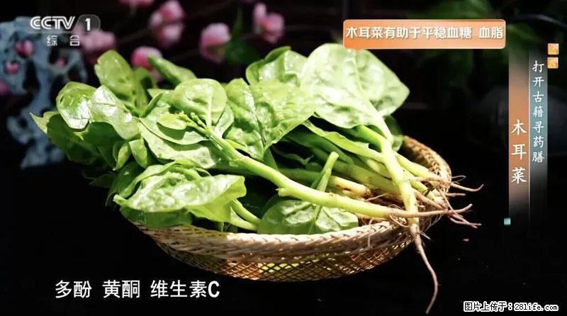 比牛奶补钙还厉害!凉血解毒、稳血糖...这菜冬天必吃,很多人却当草 - 临沂生活资讯 - 临沂28生活网 linyi.28life.com