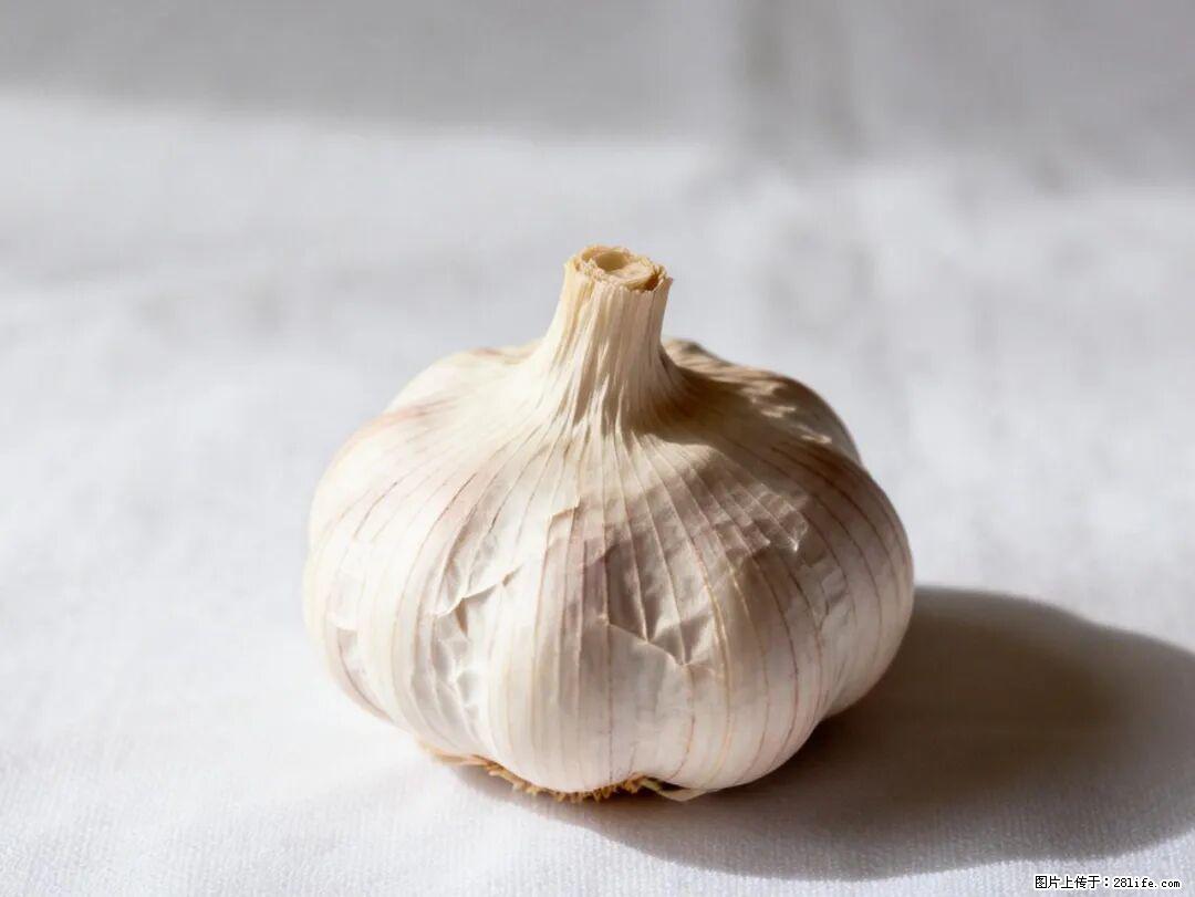 关于大蒜，除了“天然抗生素”，这4个谣言更该警惕! - 临沂生活资讯 - 临沂28生活网 linyi.28life.com