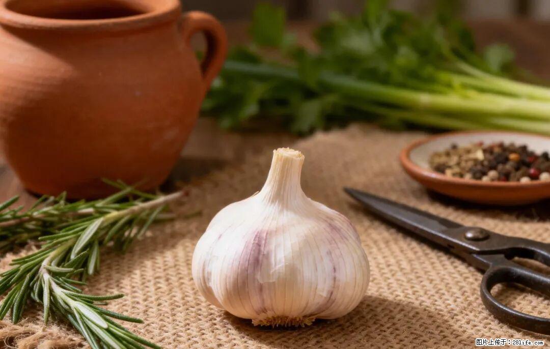 关于大蒜，除了“天然抗生素”，这4个谣言更该警惕! - 临沂生活资讯 - 临沂28生活网 linyi.28life.com