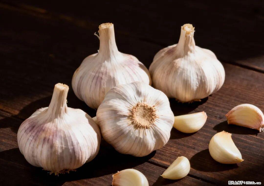 关于大蒜，除了“天然抗生素”，这4个谣言更该警惕! - 临沂生活资讯 - 临沂28生活网 linyi.28life.com